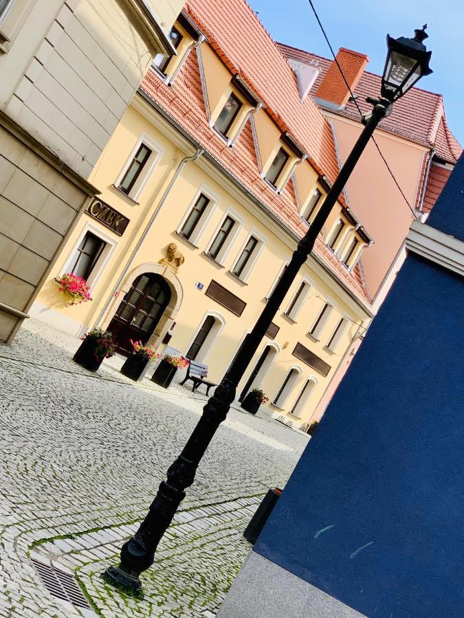 Hotel, Apartament Pod Zlotym Lwem W Samym Centrum Miasta Z Darmowym Parkingiem VII Kłodzko Eksteriør billede